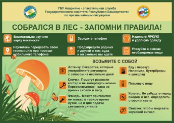 Собрался в лес - запомни правила