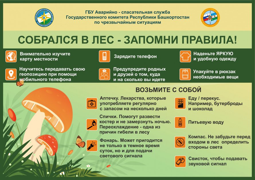 Собрался в лес - запомни правила